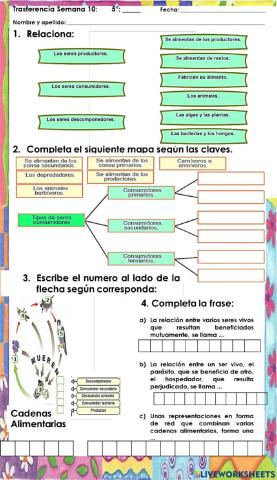 CN-Actividad de transferencia semana 10