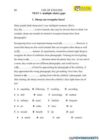 B1 use of english -1