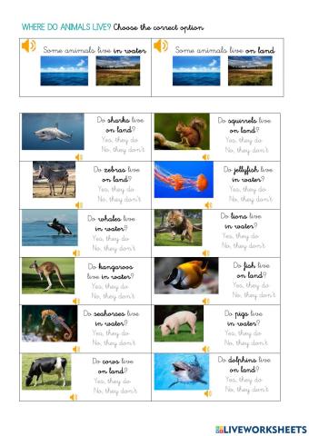 Where do animals live?