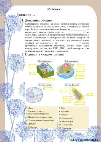 Будова клітини