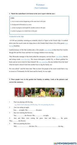 Worksheet : Past Continuous