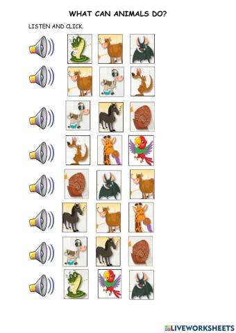 What can animals do?