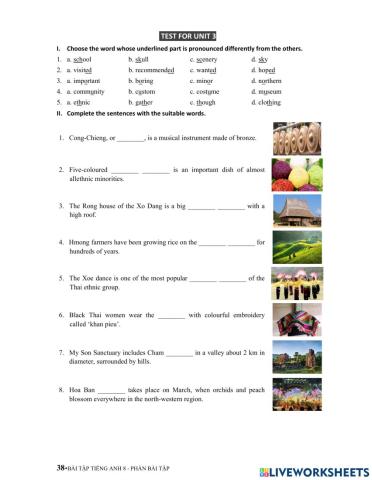 Test for U3 - I, II, III, V, VI, VII, VIII, IX, X