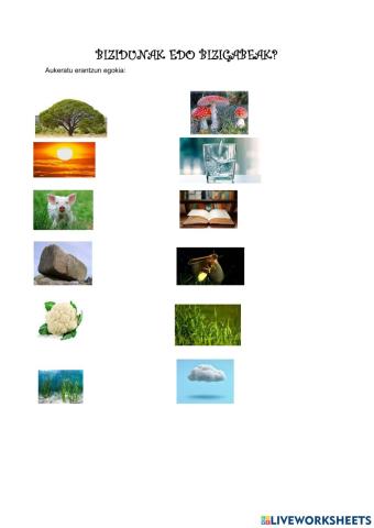 Bizidunak - Bizigabeak