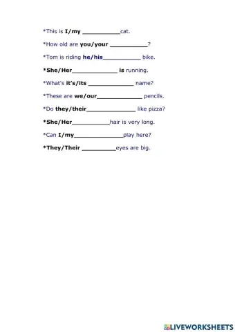 Possessive adjectives