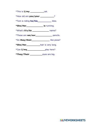 Possessive adjectives