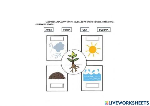 Landareen bizi funtzioak