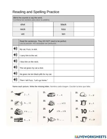 Reading and spelling practice