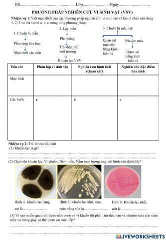 Phương pháp nghiên cứu vi sinh vật