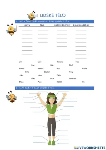 Pracovní list - lidské tělo