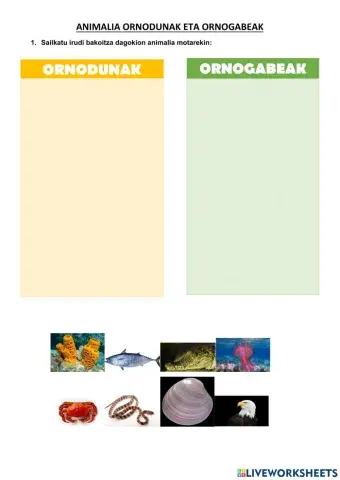 Animalia ornodunak eta ornogabeak