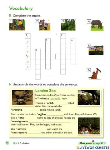 VOCABULARY jungle ssanctuary