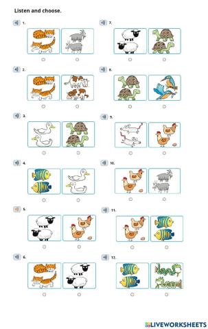 Farm animals + They're