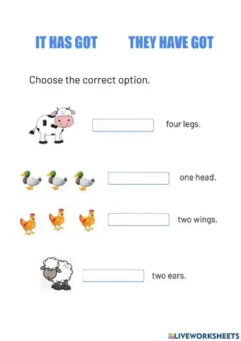 It has got they have got