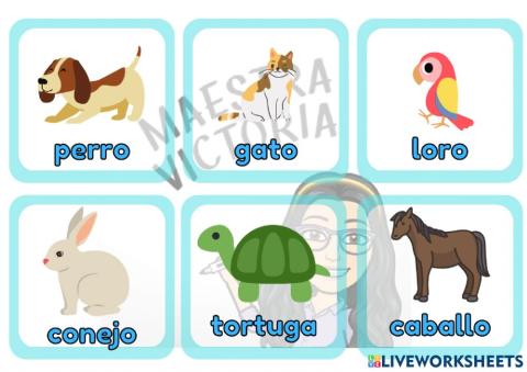 Vocabulario animales domesticos