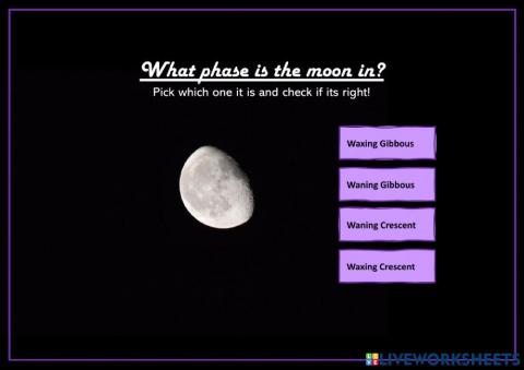 Moon phases. Multiple choice
