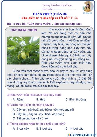 Tiếng Việt 2 (Tuần 28)