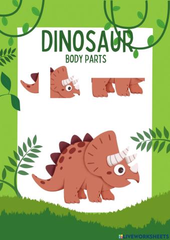 Dinosaurs bodyparts