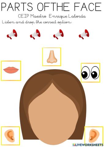 Parts of the face