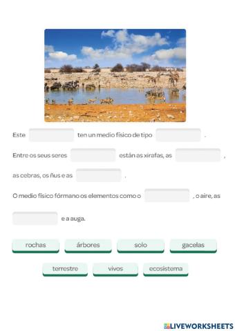 Ecosistema