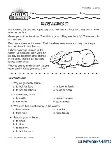 Where animals go and stars