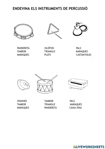 INSTRUMENTS DE PERCUSSIÓ 1 FIC