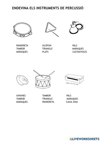 INSTRUMENTS DE PERCUSSIÓ 1 FIC
