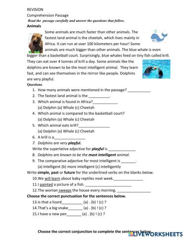 Year one ruby term 2 english language test