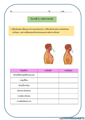 กลไกการหายใจ