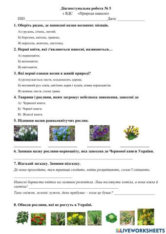 ЯДС Діагностувальна робота №5 Рослини навесні