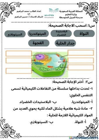 محمد البراهيم