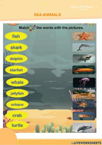 Sea animals