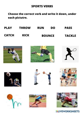 Sports verbs