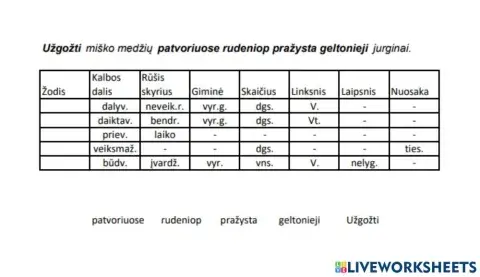 Morfologinis nagrinėjimas 2