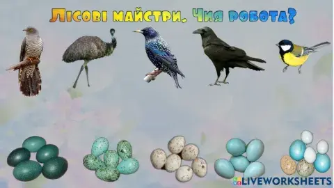 Лісові майстри. Чия робота?