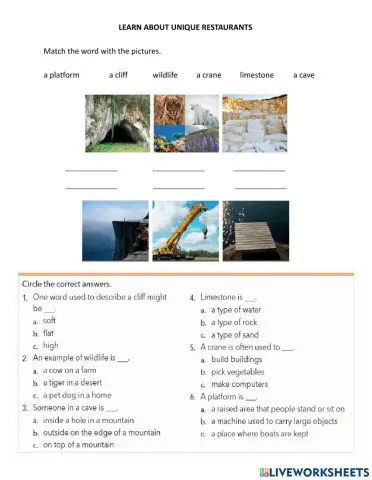 Unique restaurants vocabulary