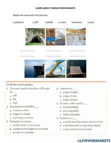 Unique restaurants vocabulary