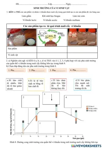 Sinh trưởng của vi sinh vật