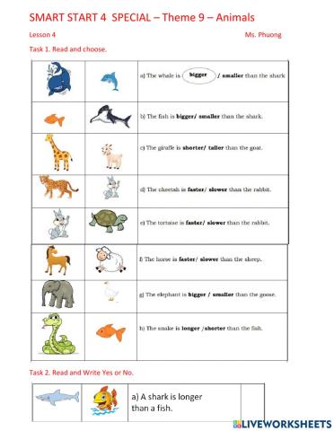 G4 - special - theme 9 - animals