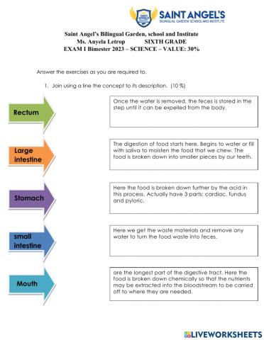 Science test