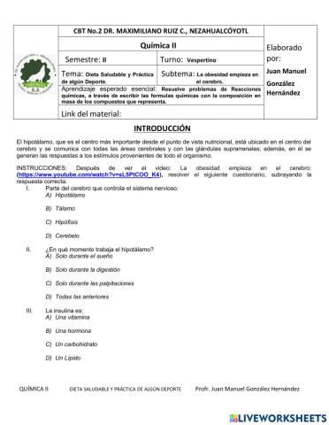 La obesidad empieza en el cerebro