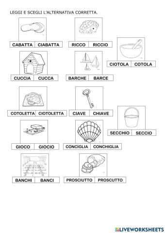 Leggi e scegli l'alternativa corretta