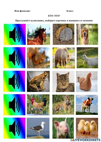 Звуки и картинки