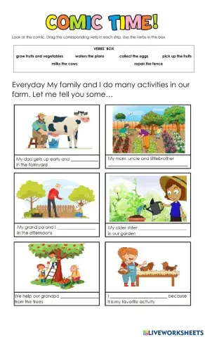 Countryside activities