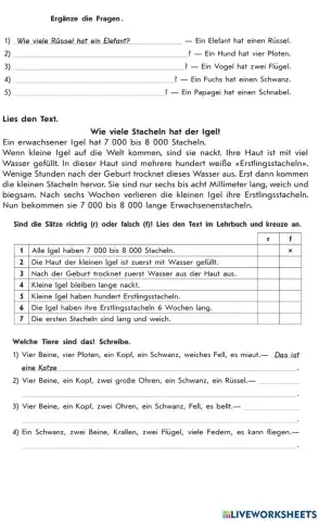 Körperteile der Tiere