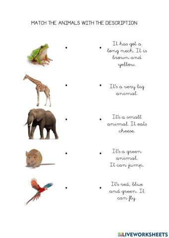 Animals descriptions