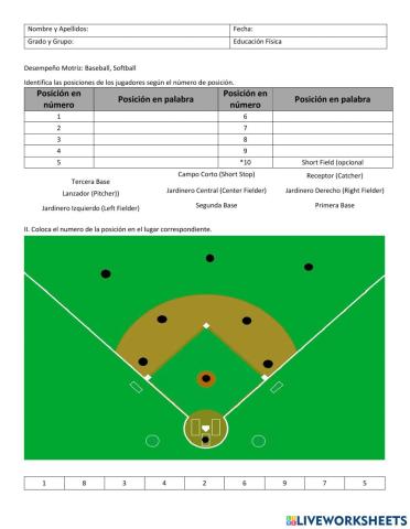 Campo de Softball - Baseball