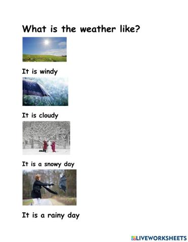 What is the weather like?