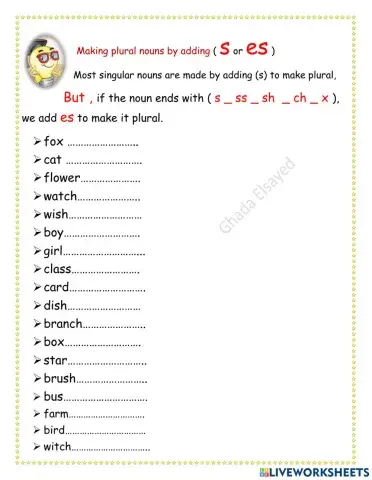 Making plural nouns by adding ( s or es )