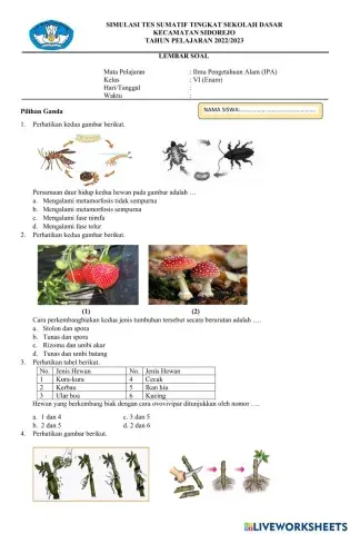 Simulasi sumatif ipa